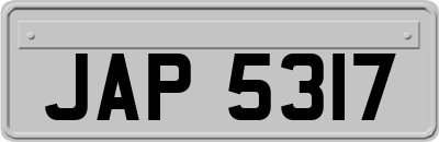 JAP5317