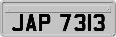 JAP7313