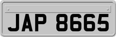 JAP8665
