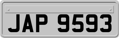 JAP9593