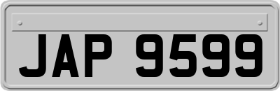 JAP9599