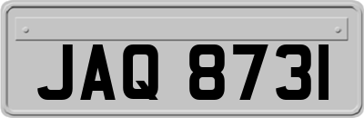 JAQ8731
