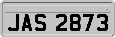 JAS2873