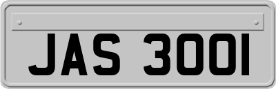 JAS3001