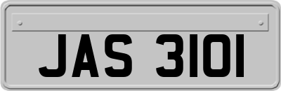 JAS3101