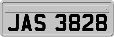 JAS3828