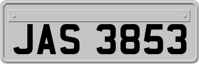 JAS3853