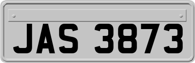 JAS3873