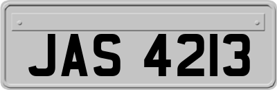 JAS4213