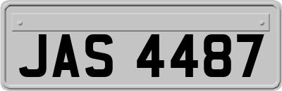 JAS4487