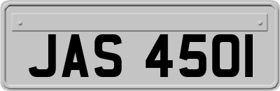 JAS4501