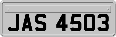 JAS4503