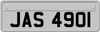 JAS4901