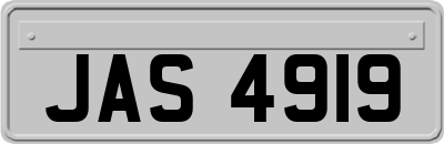 JAS4919