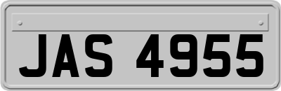 JAS4955