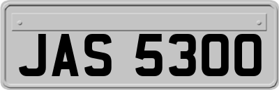 JAS5300