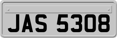 JAS5308