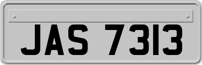 JAS7313
