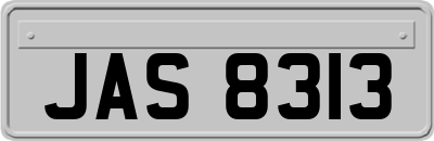 JAS8313