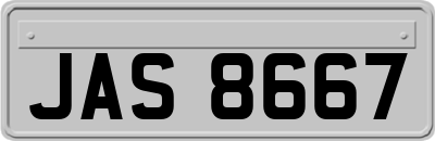 JAS8667