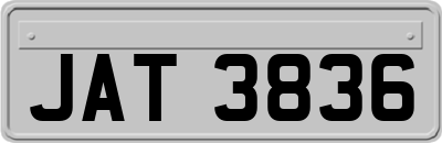 JAT3836