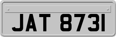 JAT8731