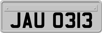 JAU0313