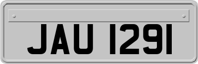 JAU1291