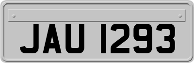 JAU1293