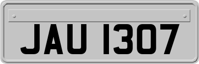 JAU1307