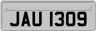 JAU1309