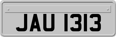 JAU1313