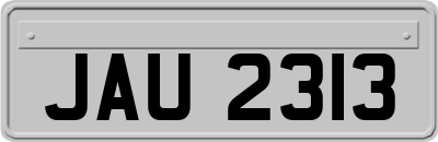 JAU2313