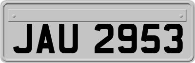 JAU2953