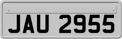 JAU2955