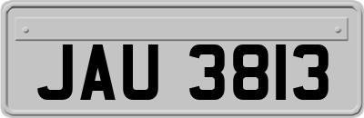 JAU3813