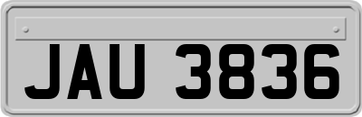 JAU3836