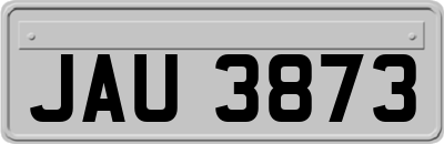 JAU3873