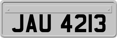 JAU4213