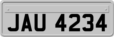 JAU4234
