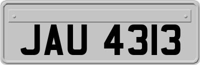 JAU4313