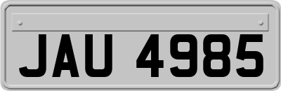 JAU4985