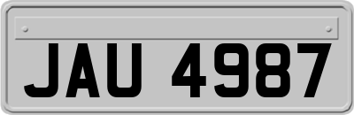 JAU4987