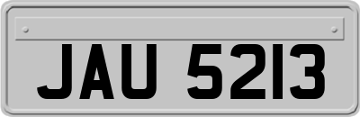 JAU5213