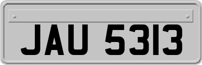 JAU5313