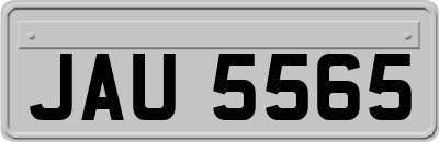 JAU5565