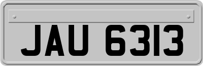 JAU6313