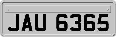 JAU6365