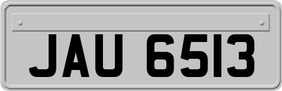 JAU6513