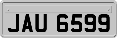 JAU6599